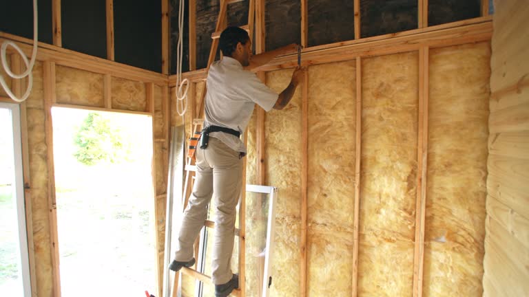 Best Spray Foam Insulation  in Parkersburg, IA